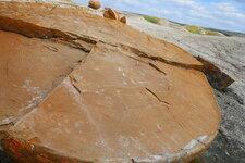 Cernes dans les concrétions de Red Rock Coulee