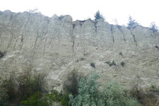 Tillites glaciaires(loess), Vallée de Kelowna