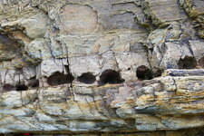 Schistes et grès de Carteret