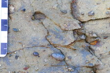 Conglomérat briovérien de la Pointe du Lude