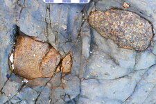 Conglomérat "matrice porté" avec deux gros clastes de granite rose.