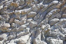 Pillows Lavas dits "Géotimes", Wadi Jizzi(Oman)