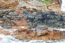 Filon de dolérite dans une granodiorite.