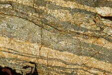 Gneiss lité de Port Béni