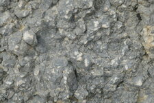 Calcaire à solenoméris