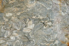 Fossiles dans calcaires carbonifères des corbières