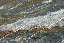 Filons de calcite dans les calcaires numulitiques 