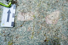 Microcline dans le Granite du Riéou Blanc