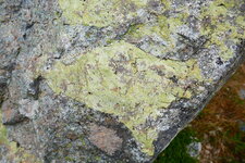 Epidote dans le granite du Riéou Blanc