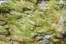 Epidote dans le granite du Riéou Blanc
