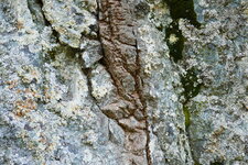 Filon de Rhyodacites dans les Gneiss des Bancs
