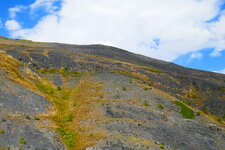 Schiste noirs du Cols de Vars