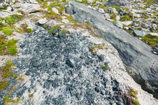 Serpentinite du Queyras