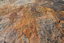 plage fossilisée