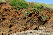 Pointe de Raguenez : volcano-sédimentaire