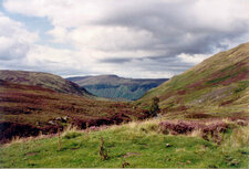 Lande de Ben Lawers (Ecosse)