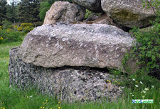 Granite à "dents de cheval"