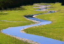 Rivière de vasière à marée basse