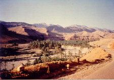 Vallée dans les Aurès