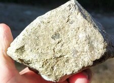 Granodiorites à Amphiboles & Biotites