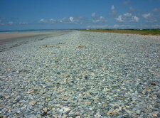 Cordon de galets à Plovan (Finistère sud)