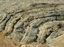 Schistes (Pointe du Bendy, Logonna, rade de Brest)