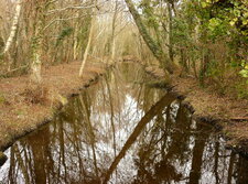 le polder de Mousterlin (Finistère)