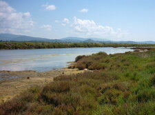 Vieux salins d