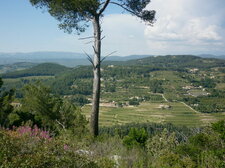 Le massif du Gros Cerveau (Var)