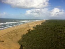 Dunes littorales de la Côte Sauvage, forêt de la Coubre