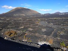 La Geria, Lanzarote