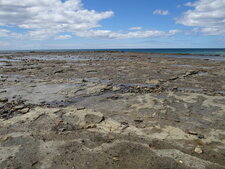 Tasmanie, Seebrook "Pines" Point