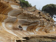 Tasmanie, Maria Island