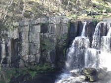 Ebor falls, New South Wales