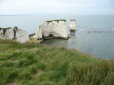 Old Harry Rocks, Studland