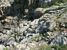 Granite anatectique de Yusin - Ouessant