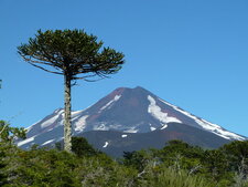 Volcan Llaima