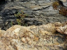 Pyrénée oriental, Cap de Creus (Zoom)