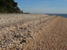 Plage de coquillage, pointe de Coudepont, ile d