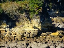 grès calcaire du cénomanien sur l