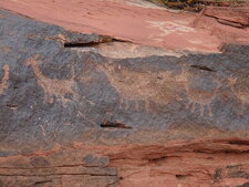 Pétroglyphe (art rupestre), Canyon de Talampaya, Argentine