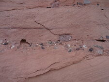 Niveau conglomératique dans les grès du Canyon de Shimpa.