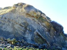 Anticlinal du Cap Gris Nez (62)