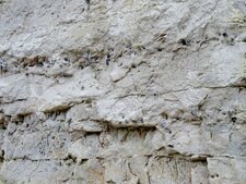 craie à silex, anciennes carrières de Cléty(62)