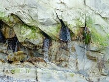 sources résurgentes dans la craie cénomanienne du Cap Blanc Nez 