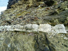 Filon de gabbro clair dans péridotite, Capu Grossu