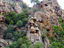Tafonis dans les granites de Bonifatu.
