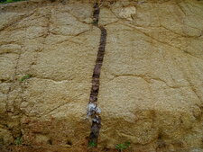 Filon basique dans granite à Lumio