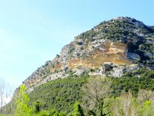 Molasse calcaire Miocène de la Nappe du Nebbio