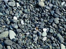 Galets verts de serpentinite sur la plage d